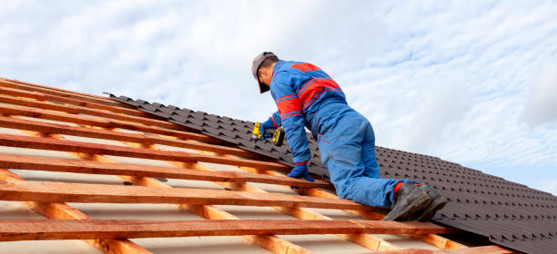 Best Sheet Metal Roofing  in Haslet, TX